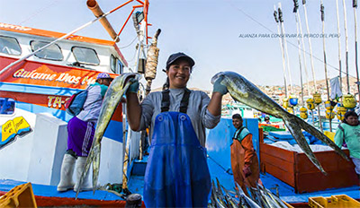 Napa Seafood Foundation - Sustainability Peru